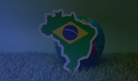 02 brasil vs espana
